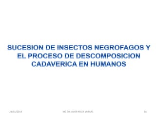 29/01/2019 16MC DR JAVIER MATA VARGAS
 