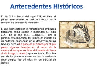 En la China feudal del siglo XIII, se halla el
primer antecedente del uso de insectos en la
solución de un caso de homicidio.
El uso de insectos en la rama forense empezó a
trabajarse como ciencia a mediados del siglo
XIX. En el año 1850, BERGERET hizo la
primera determinación del tiempo de muerte en
un cadáver, basándose en el desarrollo de las
larvas y pupas (La pupa es el estado por el que
pasan algunos insectos en el curso de la
metamorfosis que los lleva del estado de larva
al de imago o adulto) que contenía. Este fue
uno de los primeros casos en que la evidencia
entomológica fue admitida en un tribunal de
justicia.
 