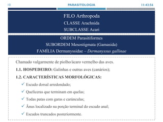 FILO Arthropoda
CLASSE Arachnida
SUBCLASSE Acari
Chamado vulgarmente de piolho/ácaro vermelho das aves.
1.1. HOSPEDEIRO: Galinhas e outras aves (canários);
1.2. CARACTERÍSTICAS MORFOLÓGICAS:
 Escudo dorsal arredondado;
 Quelíceras que terminam em quelas;
 Todas patas com garas e carúnculas;
 Ânus localizado na porção terminal do escudo anal;
 Escudos truncados posteriormente.
11:43:56PARASITOLOGIA10
ORDEM Parasitiformes
SUBORDEM Mesostigmata (Gamasida)
FAMÍLIA Dermanyssidae – Dermanyssus gallinae
 