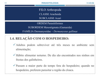 FILO Arthropoda
CLASSE Arachnida
SUBCLASSE Acari
1.4. RELAÇÃO COM O HOSPEDEIRO:
Adultos podem sobreviver até três meses no ambiente sem
alimentação;
Hábito alimentar noturno. De dia são encontrados nos ninhos em
frestas dos galinheiros.
Passam a maior parte do tempo fora do hospedeiro; quando no
hospedeiro, preferem parasitar a região da cloaca.
11:43:56PARASITOLOGIA13
ORDEM Parasitiformes
SUBORDEM Mesostigmata (Gamasida)
FAMÍLIA Dermanyssidae – Dermanyssus gallinae
 