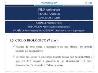 FILO Arthropoda
CLASSE Arachnida
SUBCLASSE Acari
1.3. CICLO BIOLÓGICO (7 dias):
Postura de ovos sobre o hospedeiro ou nos ninhos (em grande
número no hospedeiro);
Eclosão das larvas 3 dias após postura (estas não se alimentam),
que em 17h passam à protoninfas (se alimentam). 1-2 dias:
deutoninfas. Deutoninfa + 2 dias: adultos.
11:43:56PARASITOLOGIA19
ORDEM Parasitiformes
SUBORDEM Mesostigmata (Gamasida)
FAMÍLIA Macronyssidae – GÊNERO Ornithonyssus = Liponyssus
 