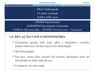 FILO Arthropoda
CLASSE Arachnida
SUBCLASSE Acari
1.4. RELAÇÃO COM O HOSPEDEIRO:
Geralmente passam todo ciclo sobre o hospedeiro; contudo,
podem sobreviver até dois meses sem alimentação.
São hematófagos.
Em aves: cloaca (fica escura). Em grandes infestações pode ser
encontrada em todo corpo da ave;
E roedores: em todo corpo.
11:43:56PARASITOLOGIA20
ORDEM Parasitiformes
SUBORDEM Mesostigmata (Gamasida)
FAMÍLIA Macronyssidae – GÊNERO Ornithonyssus = Liponyssus
 