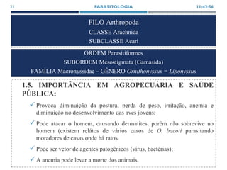 FILO Arthropoda
CLASSE Arachnida
SUBCLASSE Acari
1.5. IMPORTÂNCIA EM AGROPECUÁRIA E SAÚDE
PÚBLICA:
 Provoca diminuição da postura, perda de peso, irritação, anemia e
diminuição no desenvolvimento das aves jovens;
 Pode atacar o homem, causando dermatites, porém não sobrevive no
homem (existem relátos de vários casos de O. bacoti parasitando
moradores de casas onde há ratos.
 Pode ser vetor de agentes patogênicos (vírus, bactérias);
 A anemia pode levar a morte dos animais.
11:43:56PARASITOLOGIA21
ORDEM Parasitiformes
SUBORDEM Mesostigmata (Gamasida)
FAMÍLIA Macronyssidae – GÊNERO Ornithonyssus = Liponyssus
 