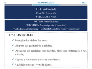 FILO Arthropoda
CLASSE Arachnida
SUBCLASSE Acari
1.7. CONTROLE:
Remoção dos ninhos das aves;
Limpeza dos galinheiros e gaiolas;
 Aplicação de acaricidas nas paredes, pisos das instalações e nos
animais;
Higiene e isolamento das aves parasitadas;
Aquisição de aves livres de ácaros.
11:43:56PARASITOLOGIA22
ORDEM Parasitiformes
SUBORDEM Mesostigmata (Gamasida)
FAMÍLIA Macronyssidae – GÊNERO Ornithonyssus = Liponyssus
 
