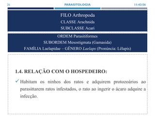 FILO Arthropoda
CLASSE Arachnida
SUBCLASSE Acari
1.4. RELAÇÃO COM O HOSPEDEIRO:
Habitam os ninhos dos ratos e adquirem protozoários ao
parasittarem ratos infestados, o rato ao ingerir o ácaro adquire a
infecção.
11:43:56PARASITOLOGIA26
ORDEM Parasitiformes
SUBORDEM Mesostigmata (Gamasida)
FAMÍLIA Laelapidae – GÊNERO Laelaps (Pronúncia: Lêlapis)
 