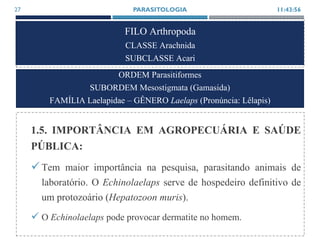 FILO Arthropoda
CLASSE Arachnida
SUBCLASSE Acari
1.5. IMPORTÂNCIA EM AGROPECUÁRIA E SAÚDE
PÚBLICA:
Tem maior importância na pesquisa, parasitando animais de
laboratório. O Echinolaelaps serve de hospedeiro definitivo de
um protozoário (Hepatozoon muris).
 O Echinolaelaps pode provocar dermatite no homem.
11:43:56PARASITOLOGIA27
ORDEM Parasitiformes
SUBORDEM Mesostigmata (Gamasida)
FAMÍLIA Laelapidae – GÊNERO Laelaps (Pronúncia: Lêlapis)
 