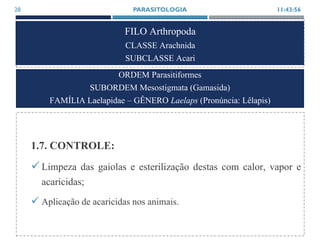 FILO Arthropoda
CLASSE Arachnida
SUBCLASSE Acari
1.7. CONTROLE:
Limpeza das gaiolas e esterilização destas com calor, vapor e
acaricidas;
 Aplicação de acaricidas nos animais.
11:43:56PARASITOLOGIA28
ORDEM Parasitiformes
SUBORDEM Mesostigmata (Gamasida)
FAMÍLIA Laelapidae – GÊNERO Laelaps (Pronúncia: Lêlapis)
 