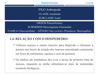 FILO Arthropoda
CLASSE Arachnida
SUBCLASSE Acari
1.4. RELAÇÃO COM O HOSPEDEIRO:
Utilízam moscas e outros insectos para dispersão e efectuam a
postura nos locais de criação dos insectos (encontrado comumente
em fezes de ruminantes, equinos e aves de postura).
Os adultos são predadores dos ovos e larvas de primeiro íntar de
moscas, enquanto as ninfas alimentam-se mais de nematoides
(controlo biológico).
11:43:56PARASITOLOGIA33
ORDEM Parasitiformes
SUBORDEM Mesostigmata (Gamasida)
FAMÍLIA Macrochelidae – GÊNERO Macrocheles (Pronúncia: Macroquéles)
 