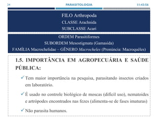 FILO Arthropoda
CLASSE Arachnida
SUBCLASSE Acari
1.5. IMPORTÂNCIA EM AGROPECUÁRIA E SAÚDE
PÚBLICA:
Tem maior importância na pesquisa, parasitando insectos criados
em laboratório.
É usado no controle biológico de moscas (difícil uso), nematoides
e artrópodes encontrados nas fezes (alimenta-se de fases imaturas)
Não parasita humanos.
11:43:56PARASITOLOGIA34
ORDEM Parasitiformes
SUBORDEM Mesostigmata (Gamasida)
FAMÍLIA Macrochelidae – GÊNERO Macrocheles (Pronúncia: Macroquéles)
 