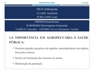 FILO Arthropoda
CLASSE Arachnida
SUBCLASSE Acari
1.5. IMPORTÂNCIA EM AGROPECUÁRIA E SAÚDE
PÚBLICA:
Ocorrem grandes prejuízos em apiários, principalmente em regiões
frias pelo estresse.
Ocorre má formação dos insectos ou morte;
Diminuição da produção.
11:43:56PARASITOLOGIA40
ORDEM Parasitiformes
SUBORDEM Mesostigmata (Gamasida)
FAMÍLIA Varroidae – GÊNERO Varroa (Pronúncia: Varrôa)
 