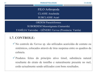 FILO Arthropoda
CLASSE Arachnida
SUBCLASSE Acari
1.7. CONTROLE:
No controle da Varroa sp. são utilizados acaricidas de contato ou
sistémicos, colocados através de tiras suspensa entre os quadros da
colmeia.
Produtos feitos do princípio ativo timol, substância natural
resultante do etrato de tomilho e naturalmente presente no mel,
estão actualmente sendo utilizados com bons resultados.
11:43:56PARASITOLOGIA41
ORDEM Parasitiformes
SUBORDEM Mesostigmata (Gamasida)
FAMÍLIA Varroidae – GÊNERO Varroa (Pronúncia: Varrôa)
 