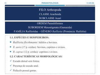 FILO Arthropoda
CLASSE Arachnida
SUBCLASSE Acari
1.1. ESPÉCIES E HOSPEDEIROS:
 Raillietia flecthmanni: búfalos e bovinos.
 R. auris (17 p. cerdas): bovinos, caprinos e ovinos.
 R. caprae (12 p. cerdas): caprinos e ovinos.
1.2. CARACTERÍSTICAS MORFOLÓGICAS:
 Escudo dorsal sem forma.
 Presença de escudo anal.
 Pedicelo possui garras.
11:43:56PARASITOLOGIA42
ORDEM Parasitiformes
SUBORDEM Mesostigmata (Gamasida)
FAMÍLIA Raillietidae – GÊNERO Raillietia (Pronúncia: Railiétia)
 
