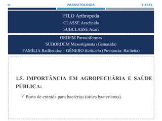 FILO Arthropoda
CLASSE Arachnida
SUBCLASSE Acari
1.5. IMPORTÂNCIA EM AGROPECUÁRIA E SAÚDE
PÚBLICA:
Porta de entrada para bactérias (otites bacterianas).
11:43:56PARASITOLOGIA46
ORDEM Parasitiformes
SUBORDEM Mesostigmata (Gamasida)
FAMÍLIA Raillietidae – GÊNERO Raillietia (Pronúncia: Railiétia)
 