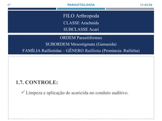 FILO Arthropoda
CLASSE Arachnida
SUBCLASSE Acari
1.7. CONTROLE:
Limpeza e aplicação de acaricida no conduto auditivo.
11:43:56PARASITOLOGIA47
ORDEM Parasitiformes
SUBORDEM Mesostigmata (Gamasida)
FAMÍLIA Raillietidae – GÊNERO Raillietia (Pronúncia: Railiétia)
 