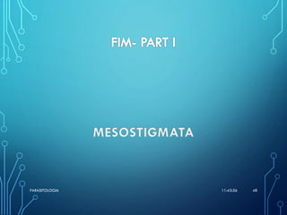 11:43:56PARASITOLOGIA 48
 