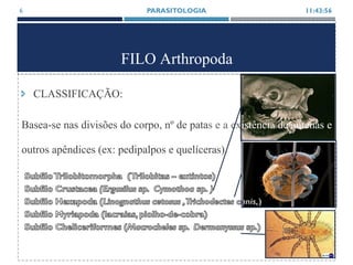 FILO Arthropoda
11:43:56PARASITOLOGIA6
 CLASSIFICAÇÃO:
Basea-se nas divisões do corpo, nº de patas e a existência de antenas e
outros apêndices (ex: pedipalpos e quelíceras).
 