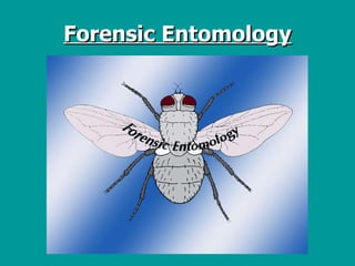 Forensic Entomology 