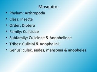 Genus Insect Characteristic Entomology | PPT