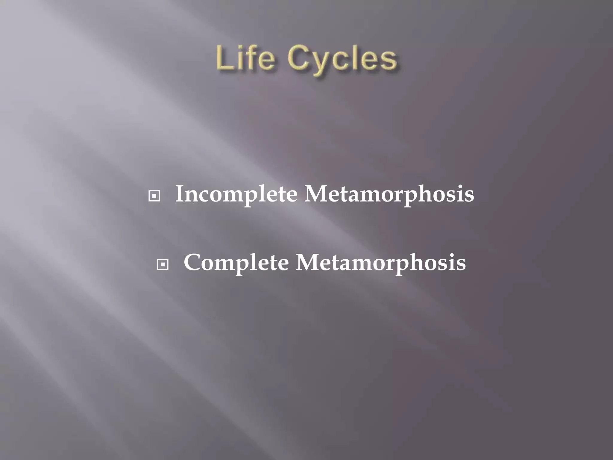 Introduction to Entomology | PPTX