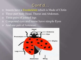 Introduction to Entomology | PPTX