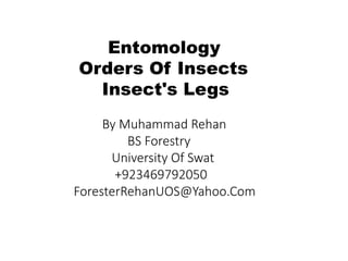 Entomology
Orders Of Insects
Insect's Legs
By Muhammad Rehan
BS Forestry
University Of Swat
+923469792050
ForesterRehanUOS@Yahoo.Com
 