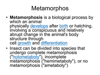 Metamorphos
• Metamorphosis is a biological process by
which an animal
physically develops after birth or hatching,
involving a conspicuous and relatively
abrupt change in the animal's body
structure through
cell growth and differentiation
• Insect can be divided into species that
undergo complete metamorphosis
("holometaboly"), incomplete
metamorphosis ("hemimetaboly"), or no
metamorphosis ("ametaboly")
 