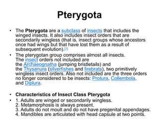 Pterygota
• The Pterygota are a subclass of insects that includes the
winged insects. It also includes insect orders that are
secondarily wingless (that is, insect groups whose ancestors
once had wings but that have lost them as a result of
subsequent evolution).[1]
• The pterygotan group comprises almost all insects.
The insect orders not included are
the Archaeognatha (jumping bristletails) and
the Thysanura (silverfishes and firebrats), two primitively
wingless insect orders. Also not included are the three orders
no longer considered to be insects: Protura, Collembola,
and Diplura.
• Characteristics of Insect Class Pterygota
• 1. Adults are winged or secondarily wingless.
2. Metamorphosis is always present.
3. Adults do not moult and do not have pregenital appendages.
4. Mandibles are articulated with head capsule at two points.
 