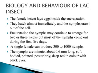 Productivity of lac insect | PPTX