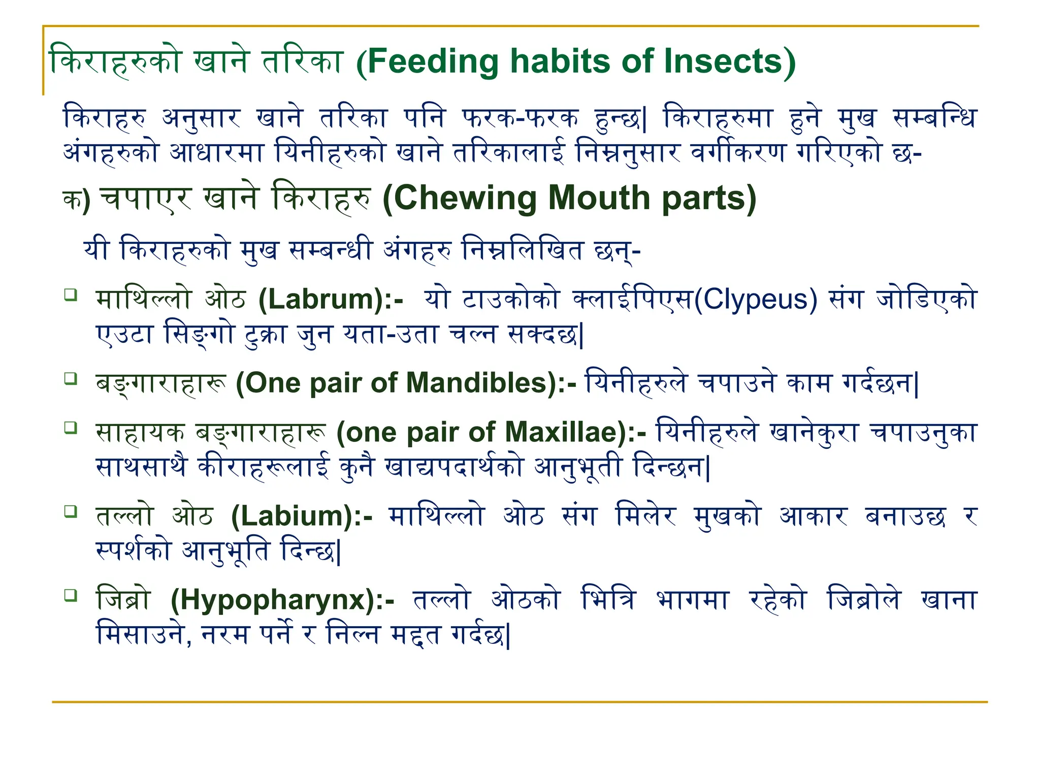 Entomology life cycle of insects .pptx
