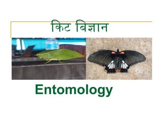 Entomology life cycle of insects .pptx