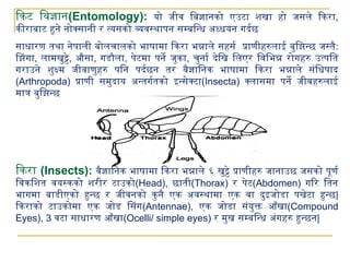 Entomology life cycle of insects .pptx