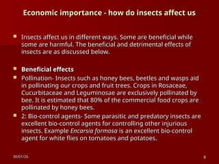 Entomology Economic importance - how do insects affect us | PPT