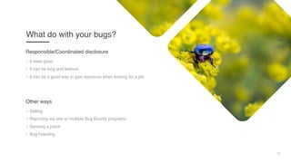 19
What do with your bugs?
• It feels good
• It can be long and tedious
• It can be a good way to gain exposure when looking for a job
Responsible/Coordinated disclosure
• Selling
• Reporting via one or multiple Bug Bounty programs
• Sending a patch
• Bug hoarding
Other ways
 