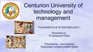Centurion University of
technology and
management
FUNDAMENTALS OF ENTOMOLOGY-1
Presenting to:-
Dr.Deepayan Padhy
Presented by :-Jami Saranya
Registration number:220804130048
 