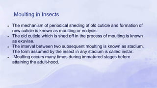 Insect Cast Moulting in insects(2).pptx