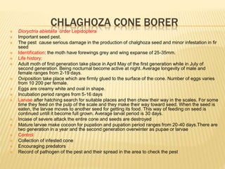 CHLAGHOZA CONE BORER
 Dioryctria abietalla order Lepidoptera
 Important seed pest.
 The pest cause serious damage in the production of chalghoza seed and minor infestation in fir
seed
 Identification: the moth have forewings grey and wing expanse of 25-35mm.
 Life history:
 Adult moth of first generation take place in April May of the first generation while in July of
second generation. Being nocturnal become active at night. Average longevity of male and
female ranges from 2-19 days.
 Oviposition take place which are firmly glued to the surface of the cone. Number of eggs varies
from 10 200 per female.
 Eggs are creamy white and oval in shape.
 Incubation period ranges from 5-16 days
 Larvae after hatching search for suitable places and then chew their way in the scales. For some
time they feed on the pulp of the scale and they make their way toward seed. When the seed is
eaten, the larvae moves to another seed for getting its food. This way of feeding on seed is
continued untill it become full grown. Average larval period is 30 days.
 Incase of severe attack the entire cone and seeds are destroyed
 Mature larvae make cocoon for pupation and pupation period ranges from 20-40 days.There are
two generation in a year and the second generation overwinter as pupae or larvae
 Control
 Collection of infested cone
 Encouraging predators
 Record of pathogen of the pest and their spread in the area to check the pest
 
