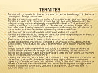 TERMITES
 Termites belongs to order Isoptera and are a serious pest as they damage both the human
dwellings and the agricultural crops
 Termites are known as social insects similar to hymenoptera such as ants or some bees.
Termites are small, lightly pigmented, insects that gain their nutrients by digesting the
cellulose present in wood. Mouth parts are modified for chewing. Their antennae are
beadlike (moniliform) or threadlike (filiform). Termites are unique insect among all social
insects because of having incomplete metamorphosis and caste system with division of
labour. Within each mature colony morphologically differentiated castes
 individual such as reproductive adults, soldiers and workers are present.
 Termites are widely distributed throughout the tropical and subtropical regions of the world
but most of diversity is found in tropical forests
 The function of winged adults in colony is dispersal and reproduction
 Winged adults (alates or swarmers) represent a primary caste of individuals within the
termite colony. Winged adults can vary in color from light tan to reddish brown to nearly
black.
 Winged adults or alates disperse from their colony in a series of flights or swarms at
precise times of the year. The timing of the flights varies among species, and within
species based on locality. Adults may be attracted to lights and start pairing. As swarmers
land on the ground, their wings are shed
 and they start searching for a suitable place to initiate a colony. The males are attracted to
the females by a scent or pheromone. Together they dig into the wood or moist soil
depending on the species, and form a chamber. Mating occurs within the nuptial chamber,
and the queen once fertilized initiates the new colony as she begins to lay eggs. Of the
millions of alates that swarm every year, only a small percent, usually less than 1%,
survive to produce acolony
 