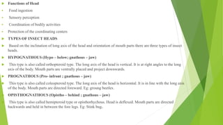  Functions of Head
 Food ingestion
 Sensory perception
 Coordination of bodily activities
 Protection of the coordinating centers
 TYPES OF INSECT HEADS
 Based on the inclination of long axis of the head and orientation of mouth parts there are three types of insect
heads.
 HYPOGNATHOUS (Hypo – below; gnathous – jaw)
 This type is also called orthopteroid type. The long axis of the head is vertical. It is at right angles to the long
axis of the body. Mouth parts are ventrally placed and project downwards.
 PROGNATHOUS (Pro- infront ; gnathous – jaw)
 This type is also called coleopteroid type. The long axis of the head is horizontal. It is in line with the long axis
of the body. Mouth parts are directed foreward. Eg: groung beetles.
 OPISTHOGNATHOUS (Opistho – behind ; gnathous – jaw)
 This type is also called hemipteroid type or opisthorhychous. Head is deflexed. Mouth parts are directed
backwards and held in between the fore legs. Eg: Stink bug.
 