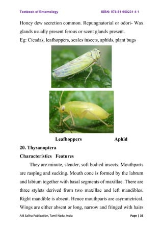 Asymmetrical Insect Entomology Book new and in PDF format for students | PDF