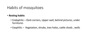 Habits of mosquitoes
• Resting habits
• Endophilic – Dark corners, Upper wall, behind pictures, under
furnitures
• Exophilic – Vegetation, shrubs, tree holes, cattle sheds , wells
 