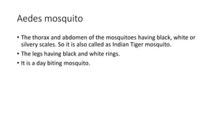 Aedes mosquito
• The thorax and abdomen of the mosquitoes having black, white or
silvery scales. So it is also called as Indian Tiger mosquito.
• The legs having black and white rings.
• It is a day biting mosquito.
 