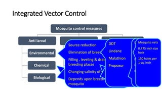 Integrated Vector Control
Mosquito control measures
Anti larval
Environmental
Chemical
Biological
Anti-adult
Residual spray
Space spray
Genetic control
Protection against bite
Net
Screening
Repellents
Mineral oil
Crude oil ,MLO
Paris green
Cu acetoarsenite , stomach poison
Synthetic insecticides
Fenthion , Malathion, Chlorpyrifos
& Abate
Larvivorous Fishes -
Gambusia affinis
Lebister reticulatus
Burrow pits, sewage oxidation
pond, cisterns, farm ponds
Source reduction
Elimination of breeding places
Filling , leveling & drainage of
breeding places
Changing salinity of water
Depends upon breeding habits of
mosquito
Pyrethrum extract
Nerve poison
For Ultra volume
fogging Malathion &
Phentrothion
Research phase
Sterile male
technique,
Chromosomal
translocation,
Sex destortion,
Gene replacement
DDT
Lindane
Malathion
Propoxur
16 meshes to
1 inch
0.0475 inch
size
Diethyltoluamide
Indalone
Dimethyl
phthalate
Dimethyl carbate
Ethyl hexanediol
Mosquito nets
0.475 inch size
hole
150 holes per
1 sq. inch
 