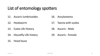 List of entomology spotters
11. Ascaris lumbricoides
12. Hookworm
13. Culex Life History
14. Housefly Life history
15. Head louse
16. Ancylostoma
17. Taenia with scolex
18. Ascaris - Male
19. Ascaris - Female
22-Jul-17 SPOTTERS 37
 