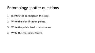 Entomology spotter questions
1. Identify the specimen in the slide
2. Write the identification points.
3. Write the public health importance
4. Write the control measures.
 