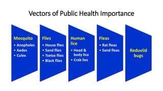 Vectors of Public Health Importance
Mosquito
• Anopheles
• Aedes
• Culex
Flies
• House flies
• Sand flies
• Tsetse flies
• Black flies
Human
lice
• Head &
body lice
• Crab lies
Fleas
• Rat fleas
• Sand fleas Reduviid
bugs
 