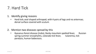 7. Hard Tick
1. Identify giving reasons
• Hard tick; oval shaped arthropod, with 4 pairs of legs and no antennae;
dorsal surface covered with scutum
2. Mention two diseases spread by this
• Kyasanus forest disease (India), Rocky mountain spotted fever, Russian
spring-summer encephalitis, colarado tick fever, tularemia, tick
paralysis, human babesiosis.
22-Jul-17 SPOTTERS 53
 