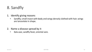 8. Sandfly
1. Identify giving reasons
• Sandfly; small insect with body and wings densely clothed with hair; wings
are lanceolate in shape.
2. Name a disease spread by it
• Kala azar, sandfly fever, oriental sore.
22-Jul-17 SPOTTERS 55
 