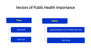 Vectors of Public Health Importance
Ticks
Hard tick
Soft tick
Mites
Leptotrobidium & Trombiculid mite
Itch mite
 