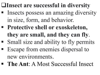 Insect are successful in diversity
 Insects possess an amazing diversity
in size, form, and behavior.
 Protective shell or exoskeleton,
they are small, and they can fly.
 Small size and ability to fly permits
 Escape from enemies dispersal to
new environments.
 The Ant: A Most Successful Insect
 