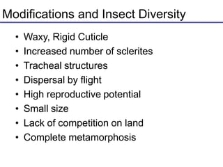 Modifications and Insect Diversity
• Waxy, Rigid Cuticle
• Increased number of sclerites
• Tracheal structures
• Dispersal by flight
• High reproductive potential
• Small size
• Lack of competition on land
• Complete metamorphosis
 